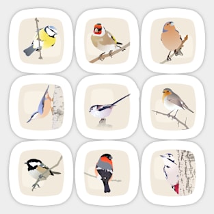 European Garden Birds Sticker